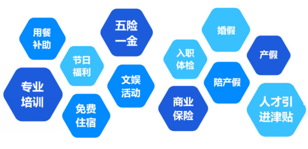 提供全面、系統(tǒng)、專業(yè)的培訓和廣闊的<br>職業(yè)發(fā)展空間和提升機會